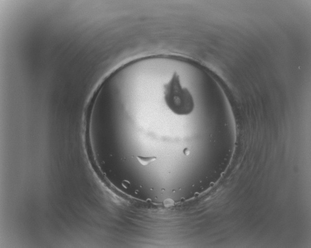 X0000072971508200607282308