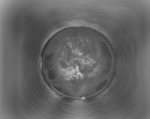 X0000072971509200607282308