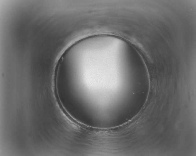 X0000072971512200607282308