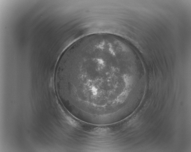 X0000072971513200607282308