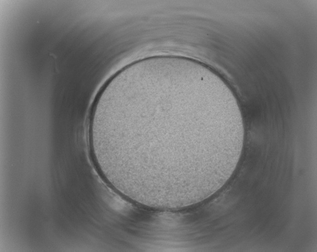 X0000072971514200607282308