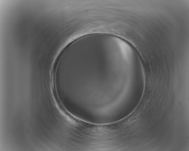 X0000072971515200607282308