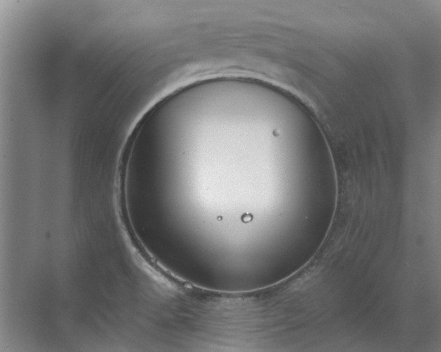 X0000072971518200607282308