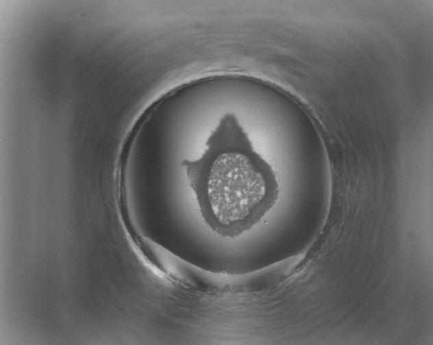 X0000072971519200607282308