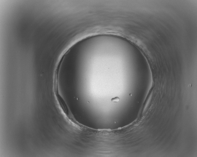 X0000072971520200607282308