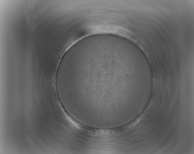 X0000072971521200607282308