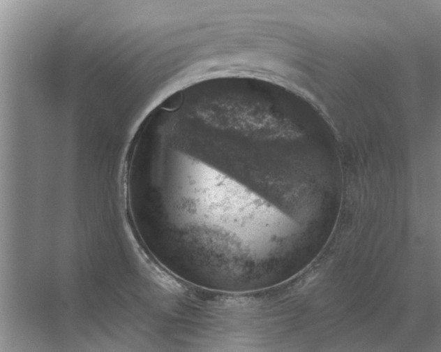 X0000072971522200607282308