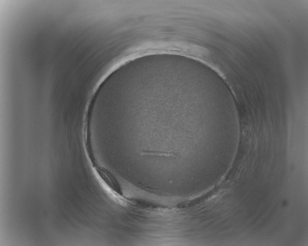 X0000072971523200607282308