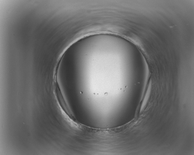 X0000072971524200607282308