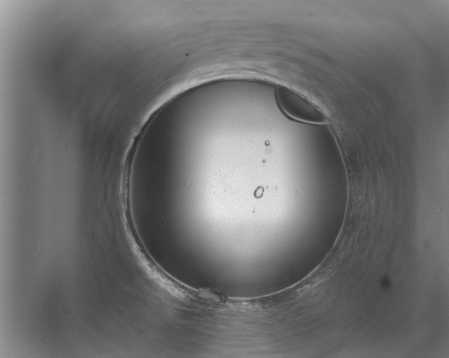 X0000072971526200607282309