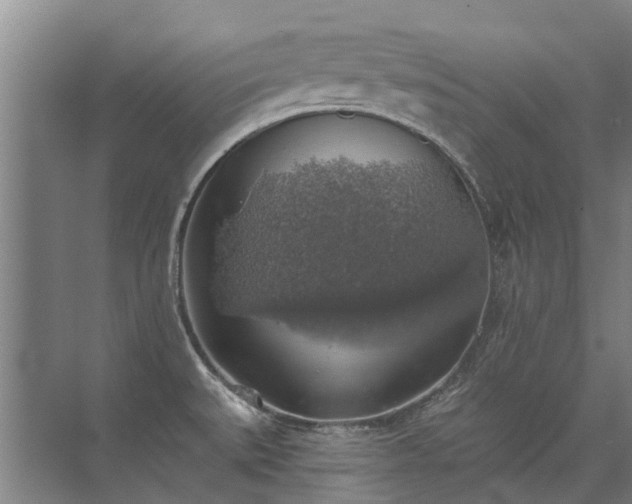 X0000072971527200607282309