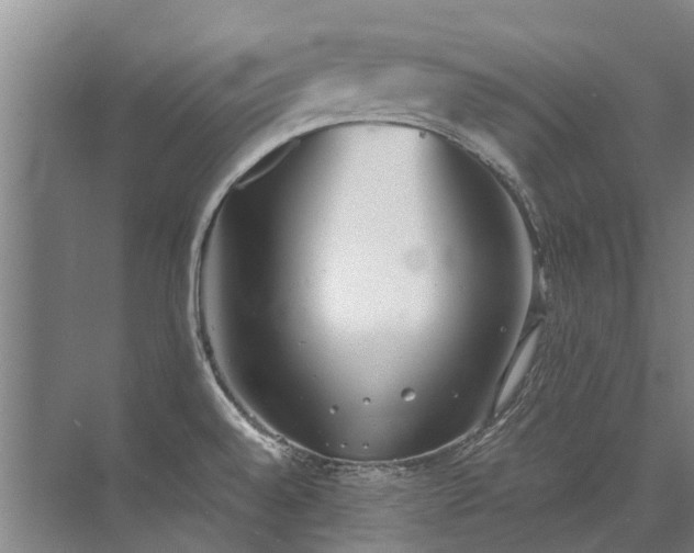 X0000072971528200607282309