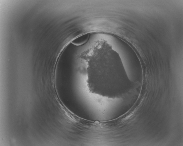 X0000072971529200607282309