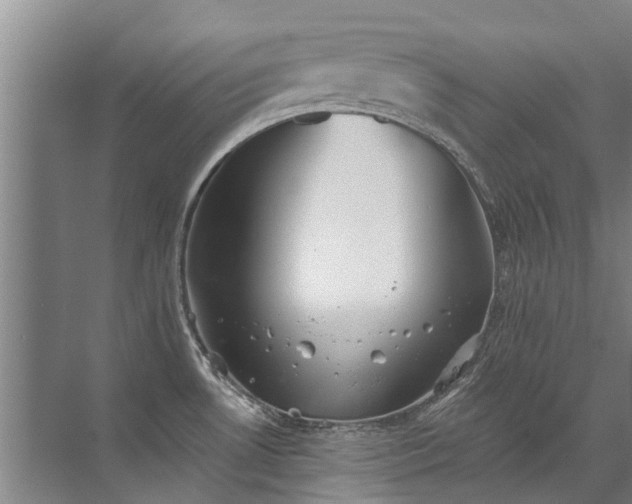 X0000072971530200607282309