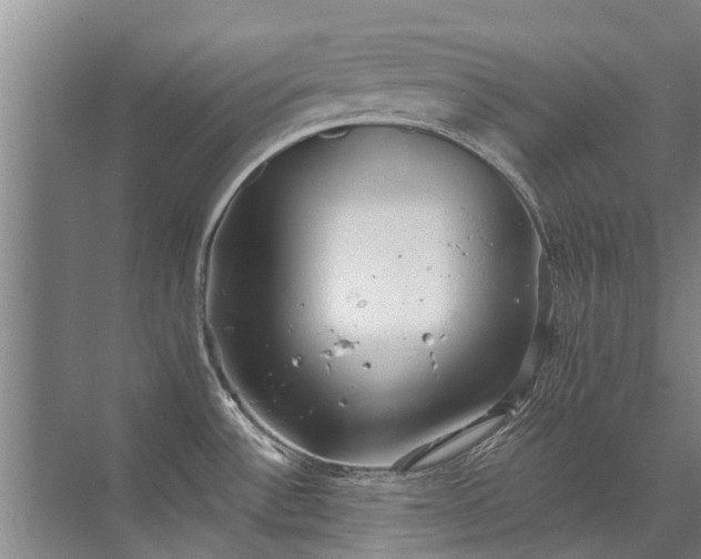 X0000072971532200607282309