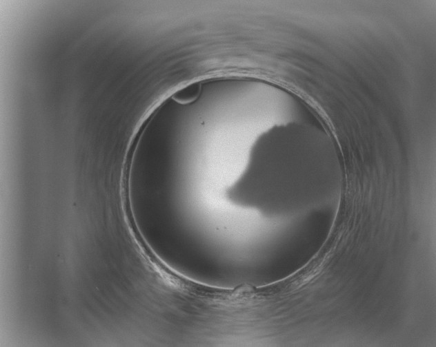 X0000072971533200607282309