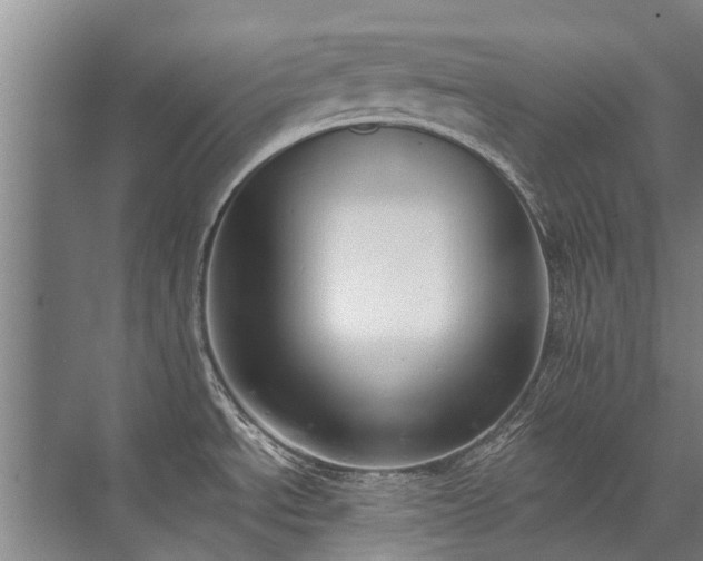 X0000072971534200607282309