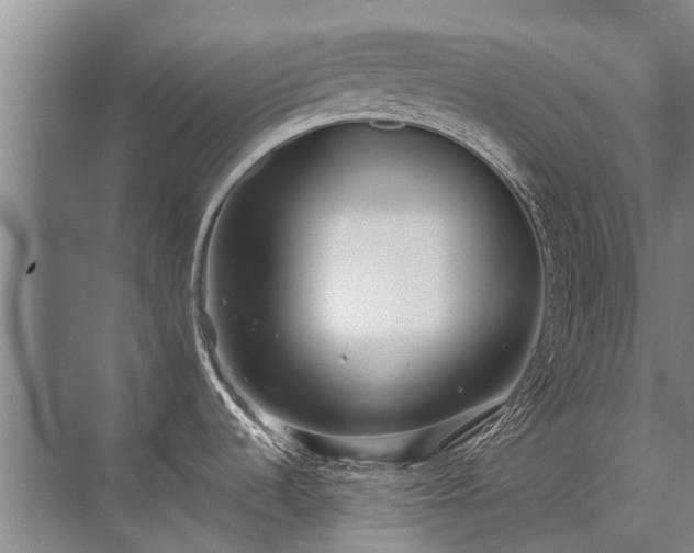 X0000072971536200607282309