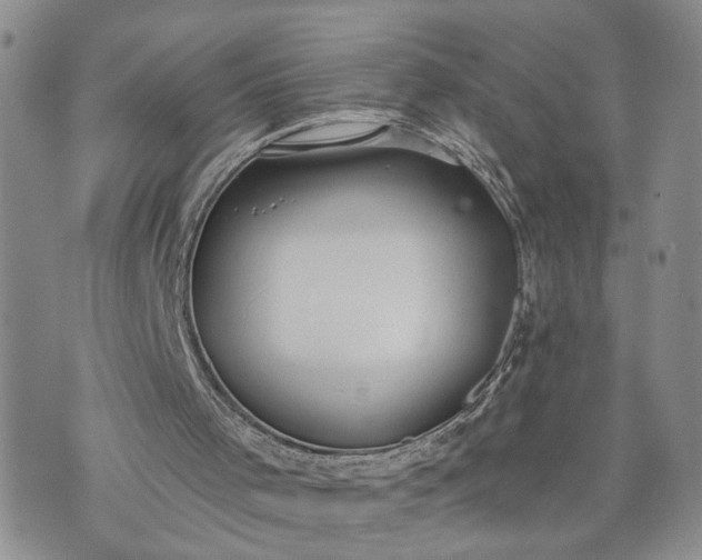 X0000072970001200608041230