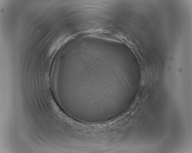 X0000072970002200608041230