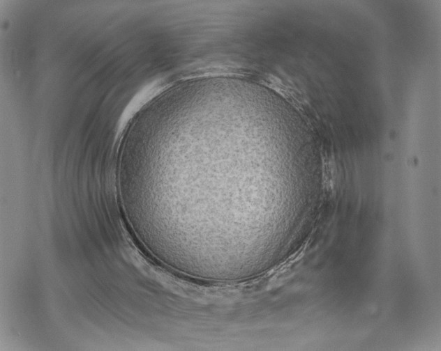 X0000072970004200608041230