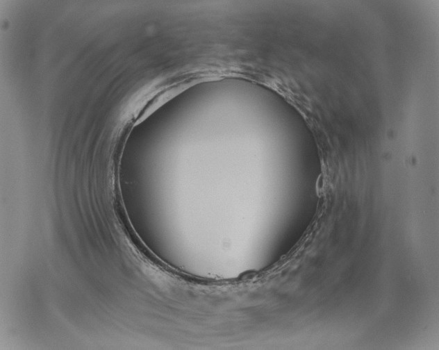 X0000072970005200608041230