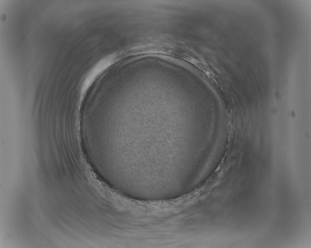 X0000072970006200608041230