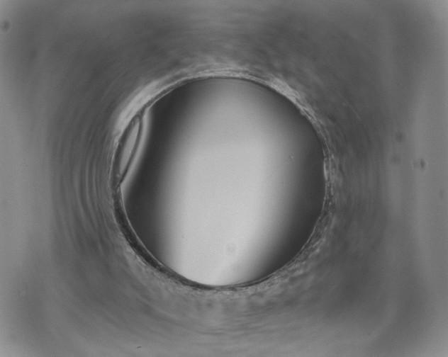 X0000072970007200608041230