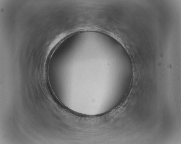 X0000072970008200608041230