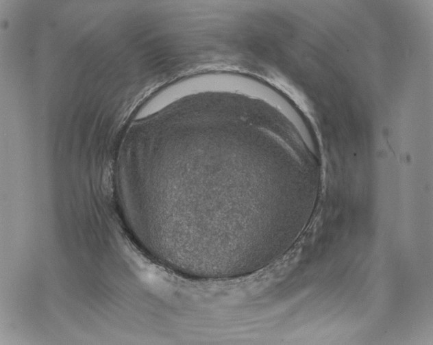 X0000072970009200608041229