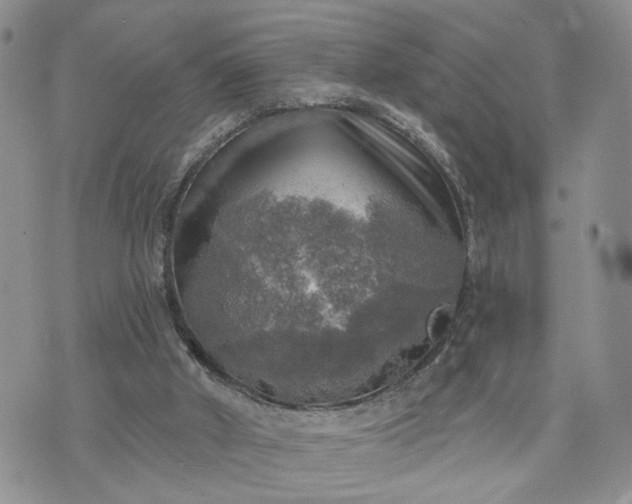 X0000072970010200608041229