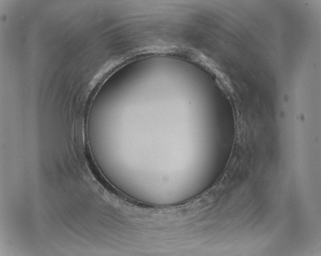 X0000072970011200608041229