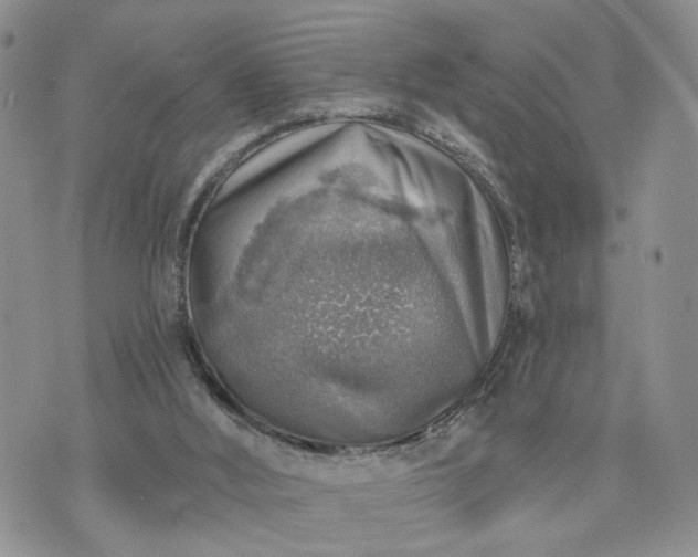 X0000072970012200608041229