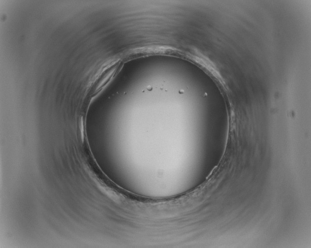 X0000072970013200608041229