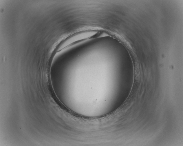 X0000072970015200608041229