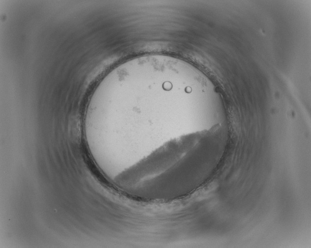 X0000072970016200608041229