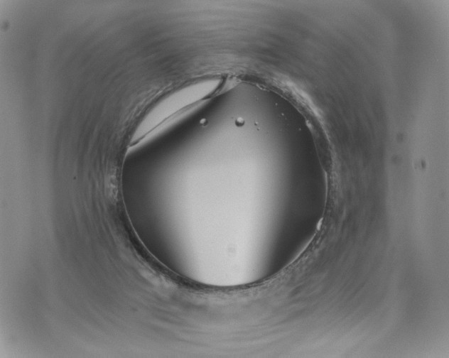 X0000072970017200608041229