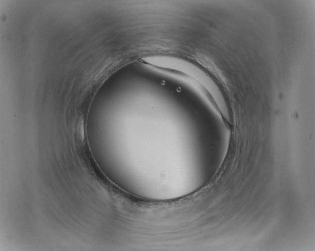 X0000072970021200608041229