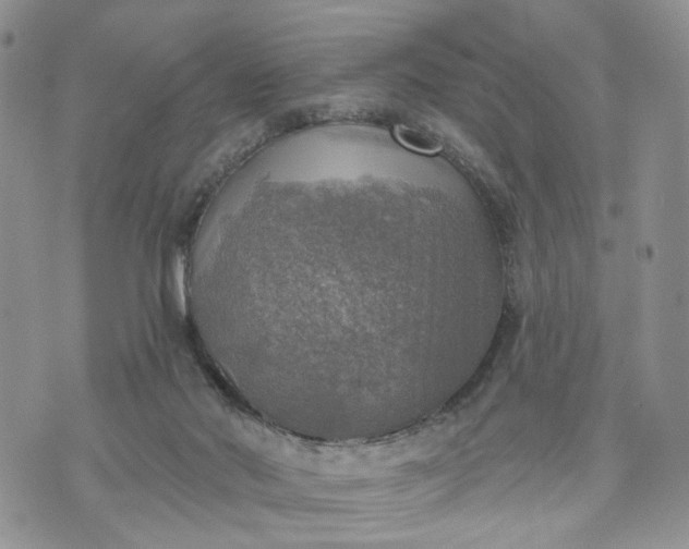 X0000072970022200608041229