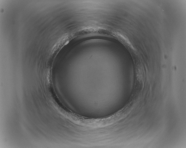 X0000072970023200608041229