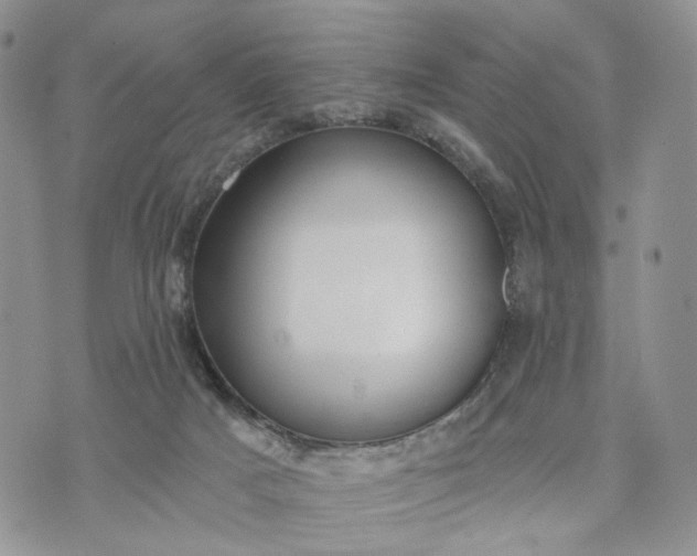 X0000072970025200608041229