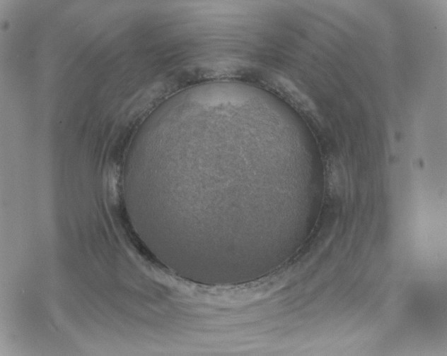 X0000072970026200608041229