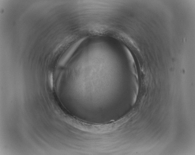 X0000072970027200608041229