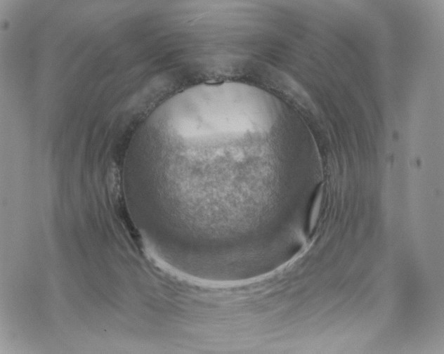 X0000072970029200608041229