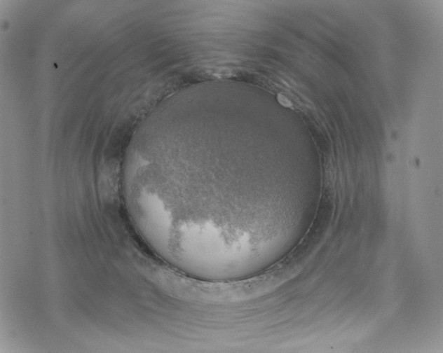 X0000072970030200608041229