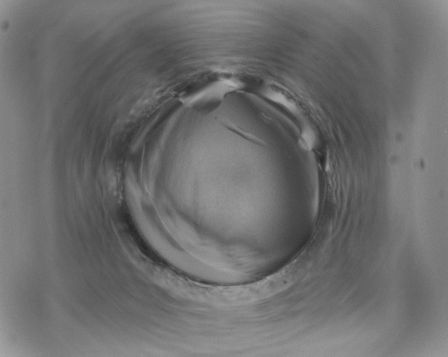 X0000072970031200608041229