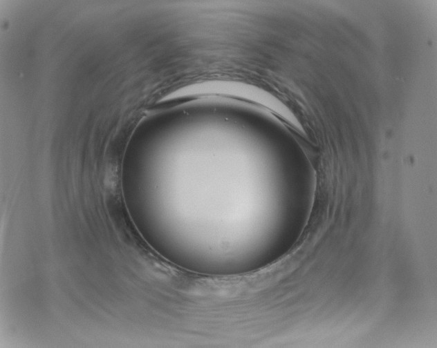 X0000072970033200608041229