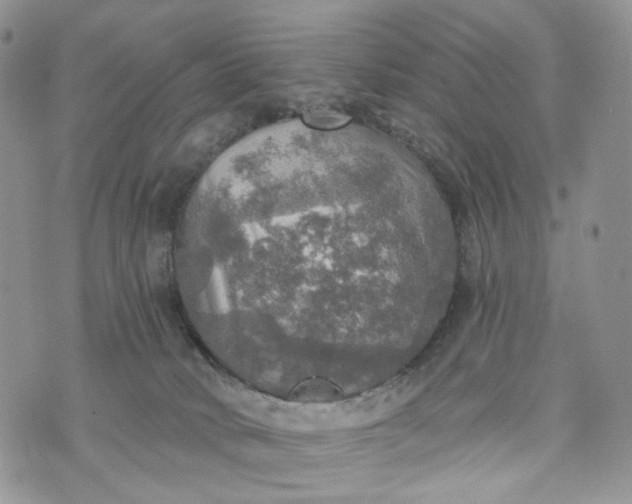 X0000072970034200608041229