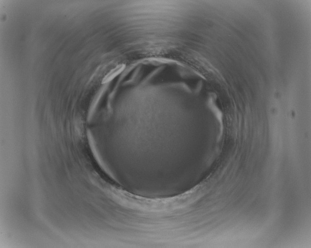 X0000072970035200608041229