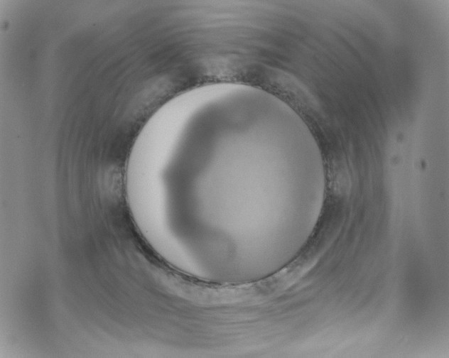 X0000072970036200608041229